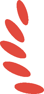 微信图片2.png 微信图片2.png