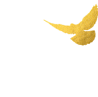 微信图片_20231220191934.gif 微信图片_20231220191934.gif