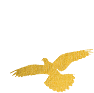 微信图片_20240116214725.gif 微信图片_20240116214725.gif