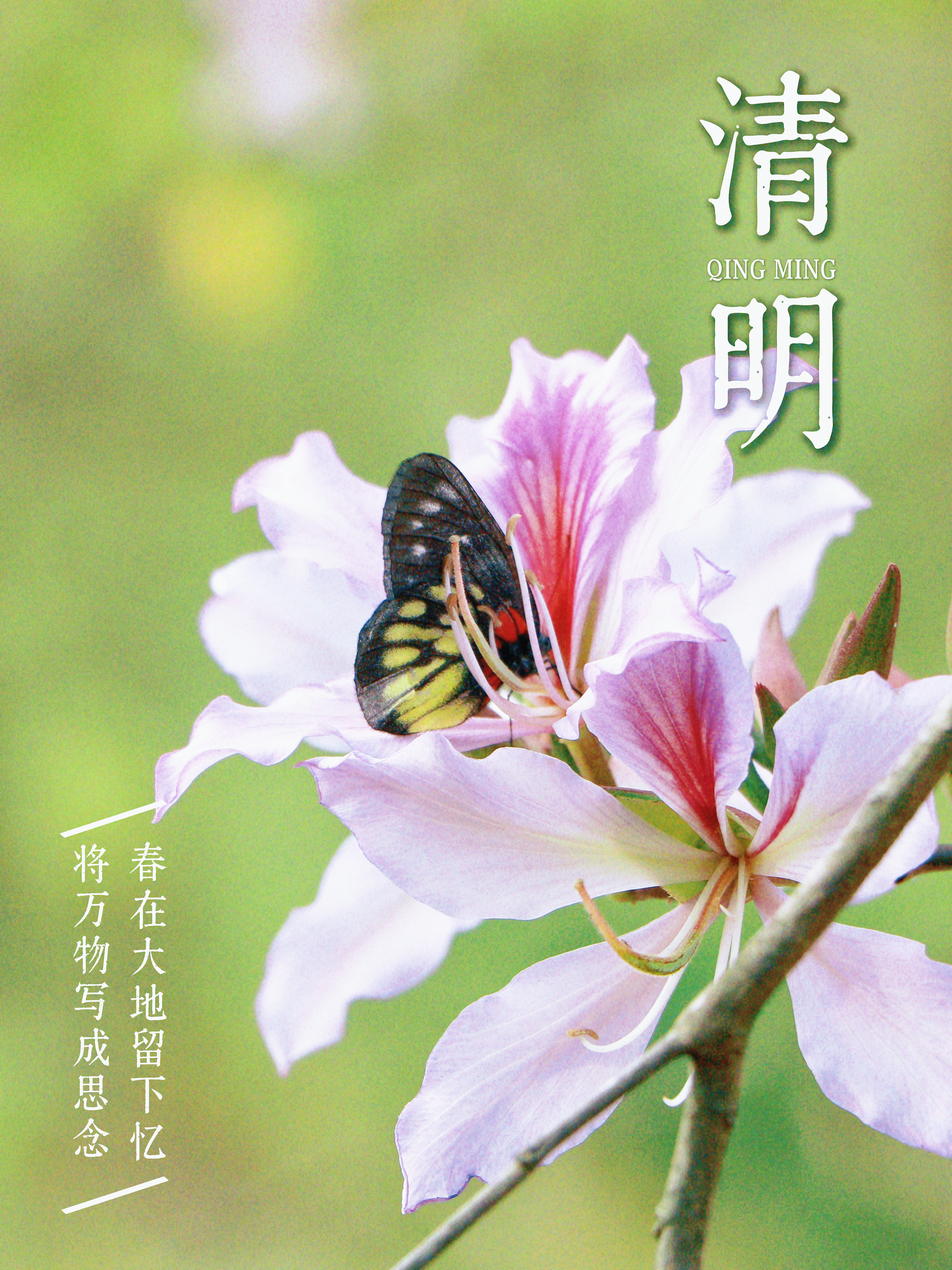 微信图片_20250402111202.jpg 微信图片_20250402111202.jpg