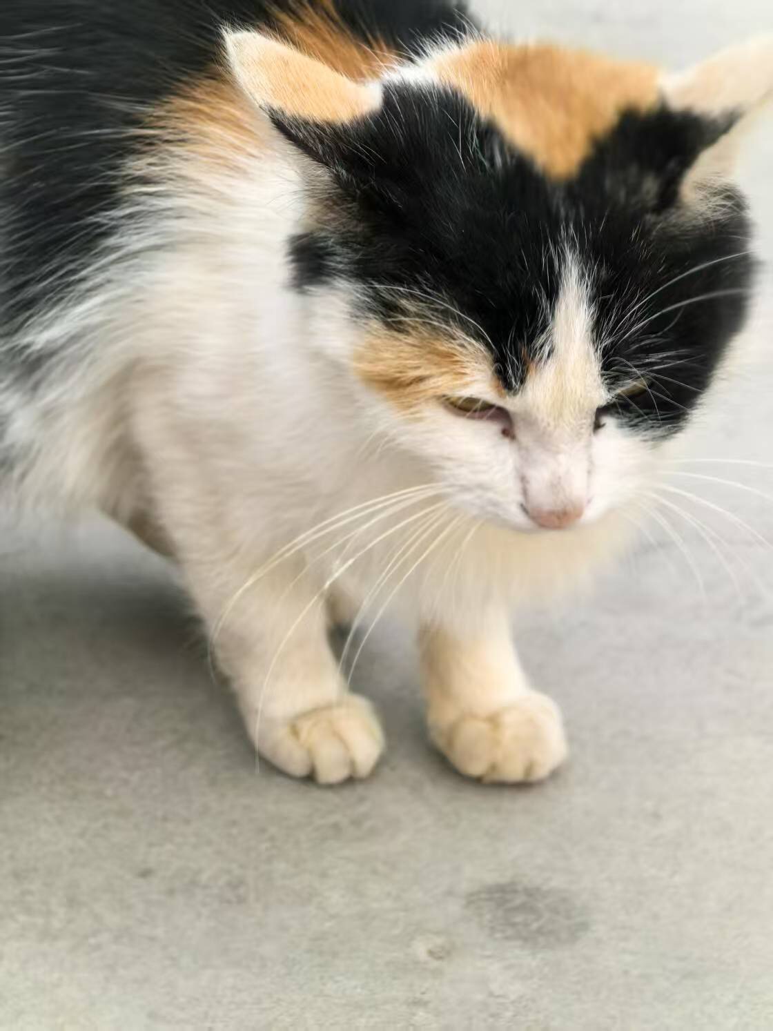 82ba8e65-00d3-4171-9d3b-8d708c0adb98.jpg 82ba8e65-00d3-4171-9d3b-8d708c0adb98.jpg