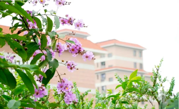 屏幕截图 2025-08-11 205918.png 屏幕截图 2025-08-11 205918.png